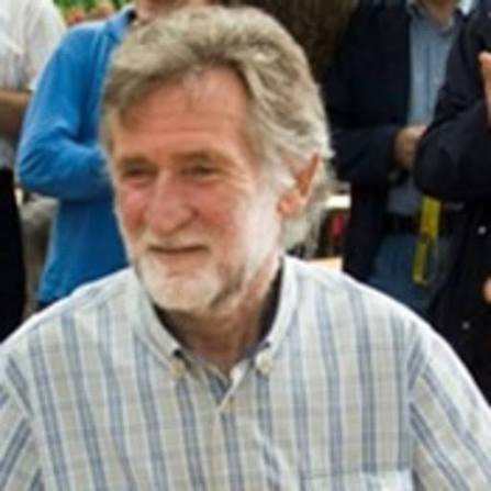 Professore Paolo Emilio Strolin